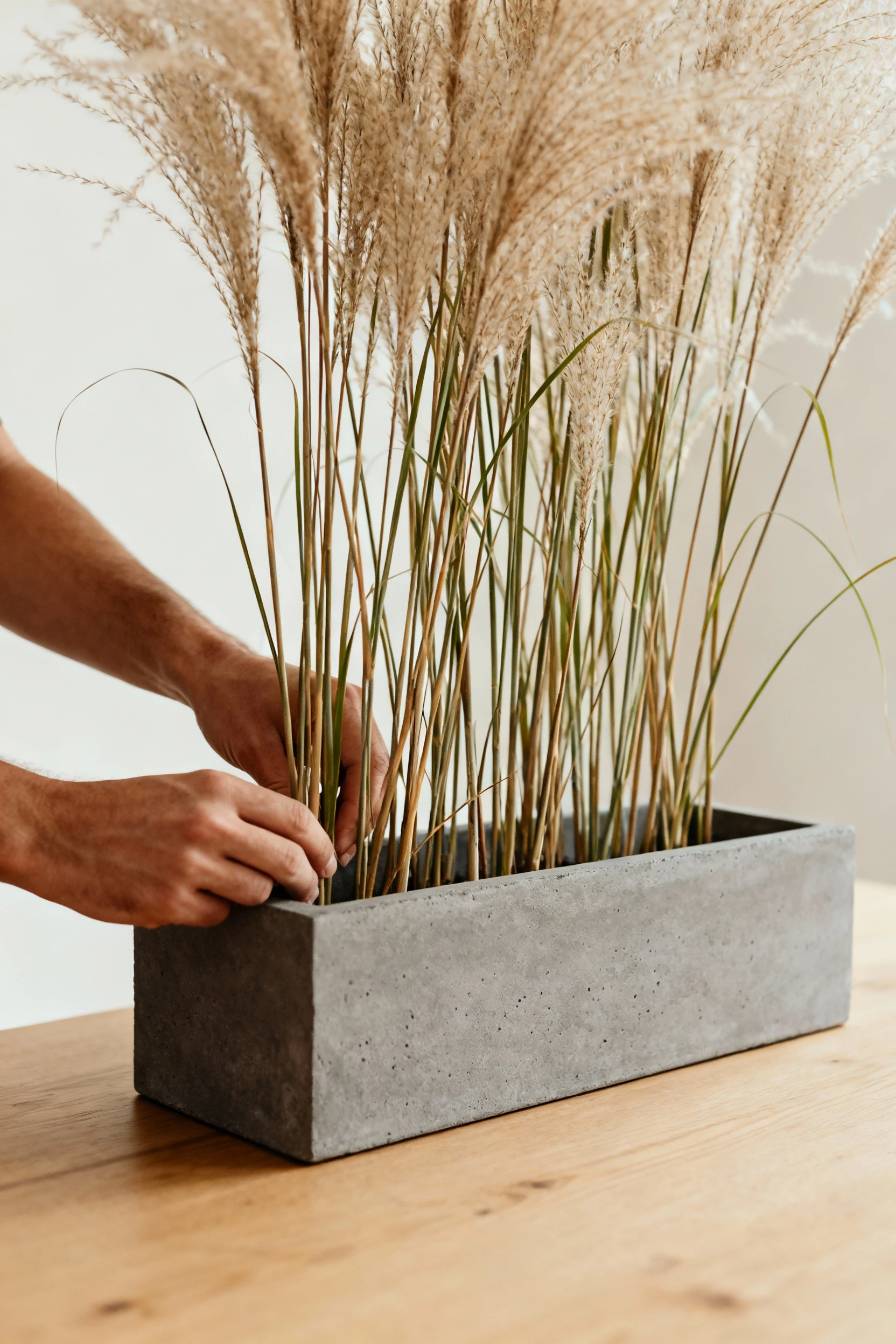 hands arranging concrete planter with tall ornamental grasses
