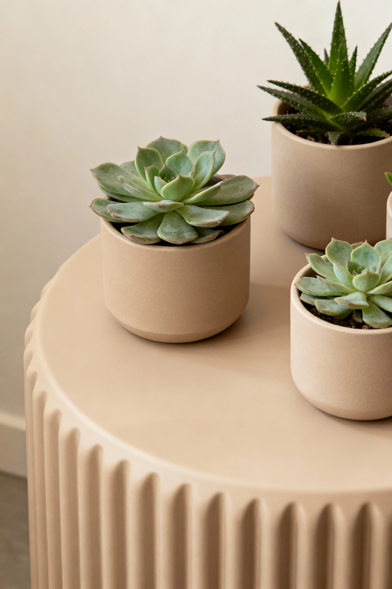 round speed-bump table of succulents, matte ceramic pots